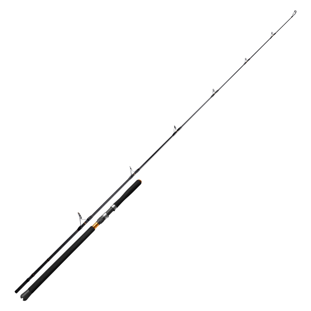 

Sea Fishing Pole Popping Fishing Rod & Reel Combos