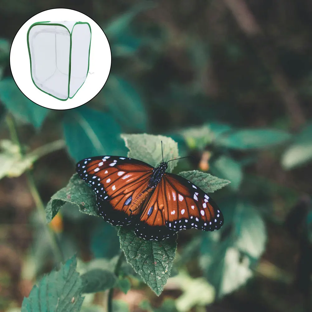 

Insect Cage Mesh Breathable Lightweight Butterfly Habitat Portable Insect Breeding Observation Cage Kids Outdoor Education