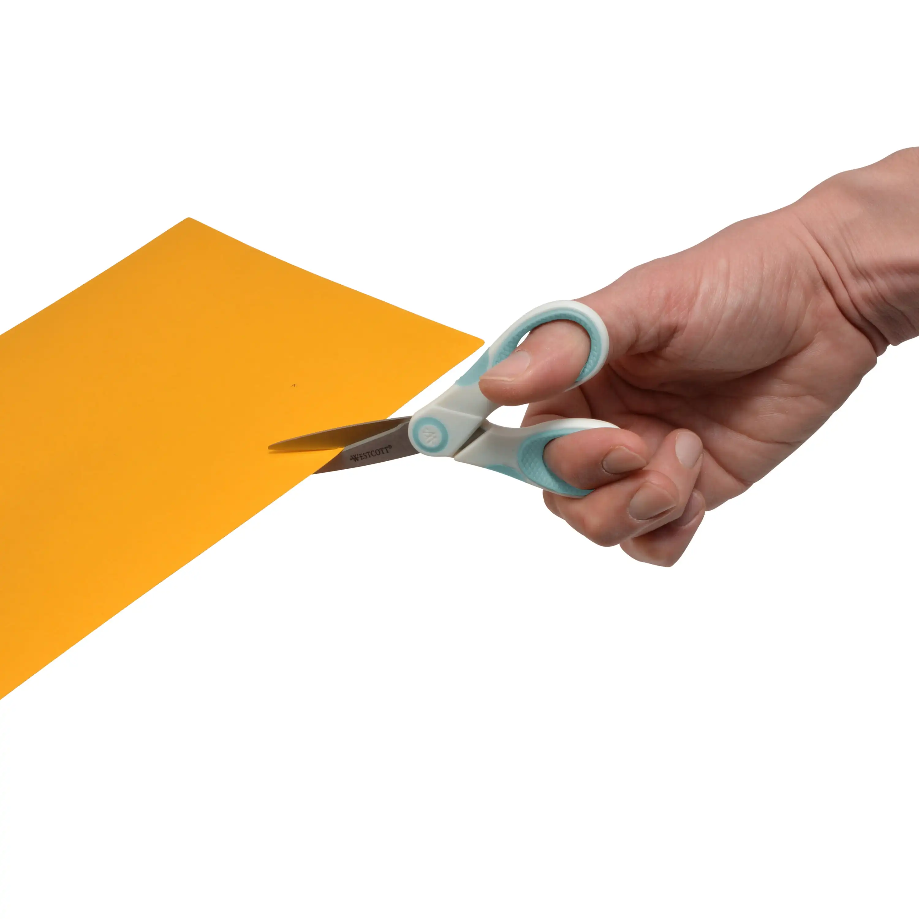 (2 แพ็ค) ไทเทเนียม กรรไกรกันติด 5" สําหรับงานฝีมือ สีขาว/น้ําเงิน 1 ชิ้น