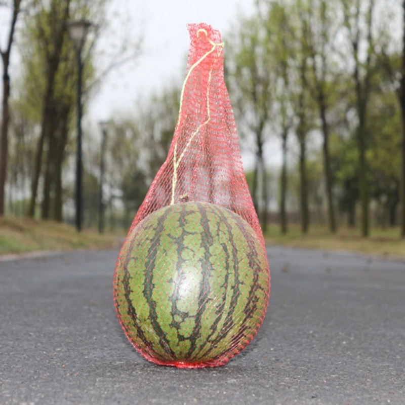 Bolsa protectora grande de sandía, red de protección para vegetales, frutas y plantas, cultivo hortícola, suministros de Control de plagas, 100