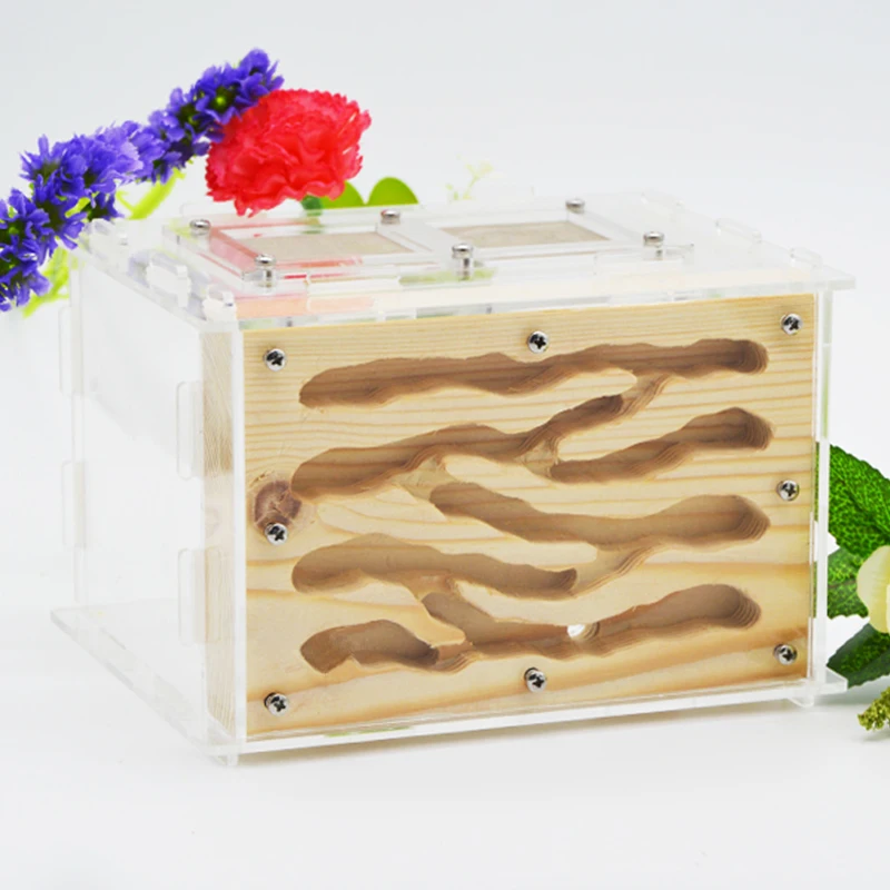 DIY Ecological Acrylic Wood Ant Farm Ant Nest with Feeding Area Insect Ant House for Pet Anthill Workshop 15*14*10cm