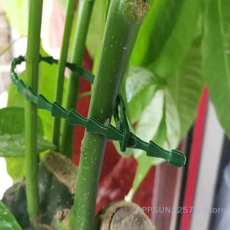 

Reusable Garden Cable Ties Plant Vine Tree Shrubs Support Fastener Locking Nylon Adjustable Zipper Cables Ties Organizer Tools