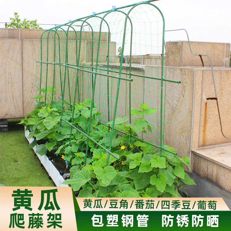 Climbing vine frame Gardening bracket Grape frame Cucumber bean horn arch Climbing plant bracket Outdoor potting ground Shelf