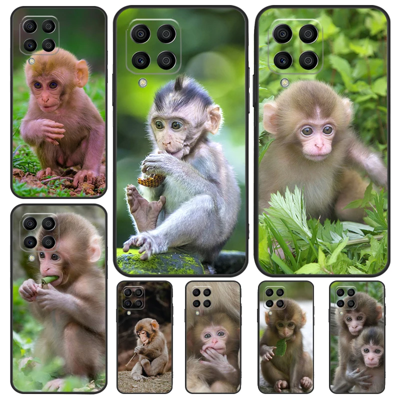 Cute Baby Monkey Animal Cover For Samsung Galaxy M23 M33 M53 M13 M51 M11 M31s M30s M12 M32 M52 M20 M14 M34 M54 Case