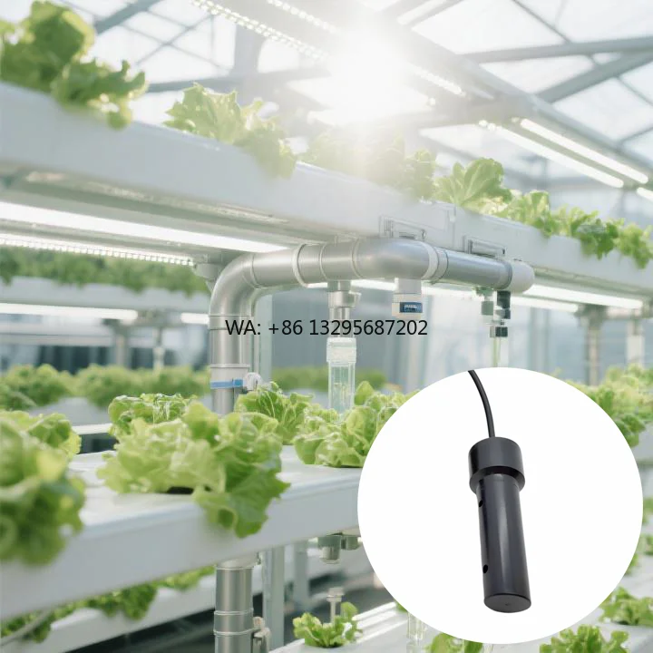

Smart Water Submersible CO2 Sensor for Agriculture Dissolved Carbon Dioxide Detector with Ppm Range IoT Wireless Monitoring