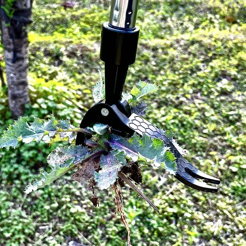 

Прочный ручной инструмент для удаления сорняков, садовый прополочный инструмент с регулируемой высотой, портативный инструмент для газона, прочный, легкий.