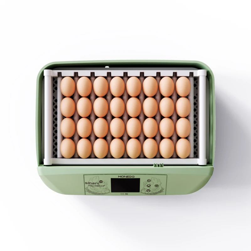 

WONEGG G32B Hot Seller Machine Poultry Farming Equipment Mini Egg Incubator Online