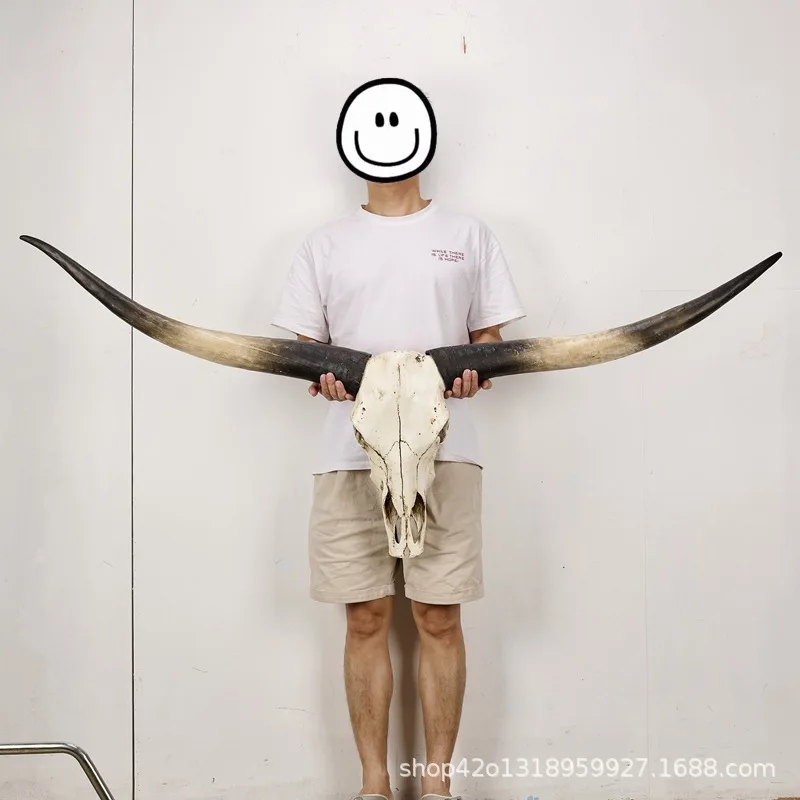 

Extra large real cow head wall hanging retro home decoration B & B bar decoration pendant resin crafts