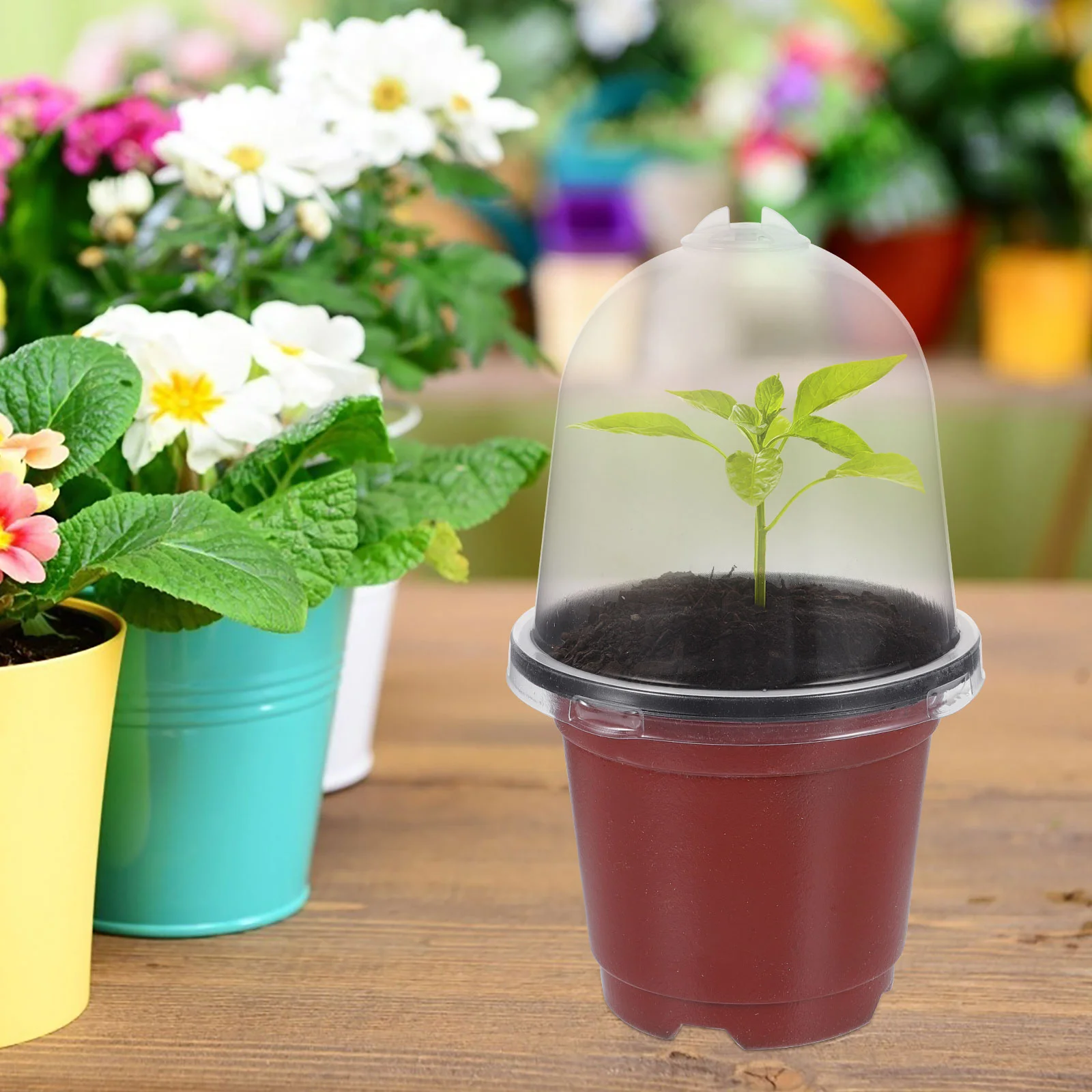 

10 Sets Seedling Pot with Cover Small Planting Planter Affordable Outdoor Flower Sowing Plastic Garden