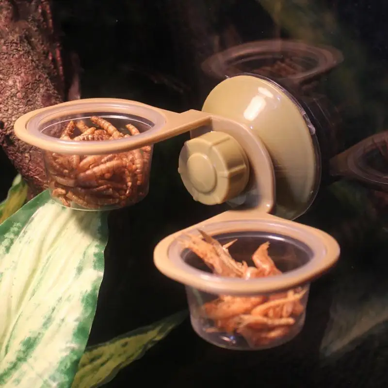 Suction Cup Reptile Feeder Double Bowl Reptile Feeder Reptile Feeding Cup Chameleon Feeding Food Bowl For Reptiles Food And