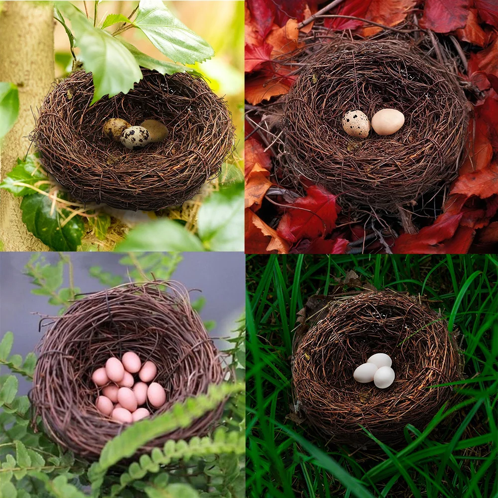 Thumbnail 4 - #37 Compare Birdhouses Before You Buy