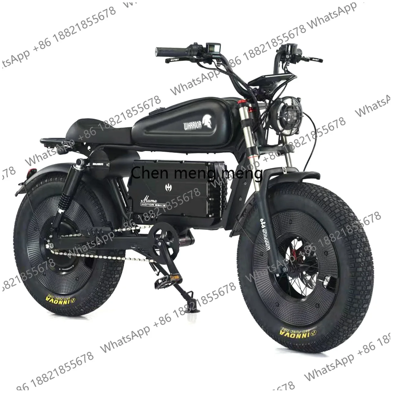 3 Speed Levels 3000W Fast Speed City Commuting Customizable Electric  Coco Bike Ebike Fat T