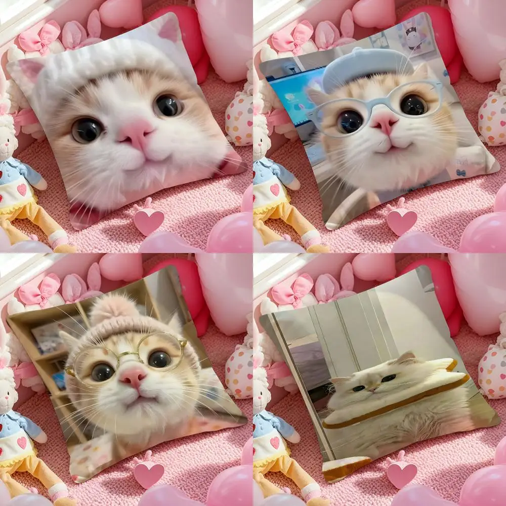 Cute Funny Internet Meme Cat Cushion Cover Plush Fabric Soft Double Sided Print Home Sofa High Quality Cushion