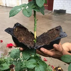 1pcs Reusable Plant Root Growing Box Cutting Grafting Rooting Ball Garden Rooting Propagation Ball Breeding Equipment