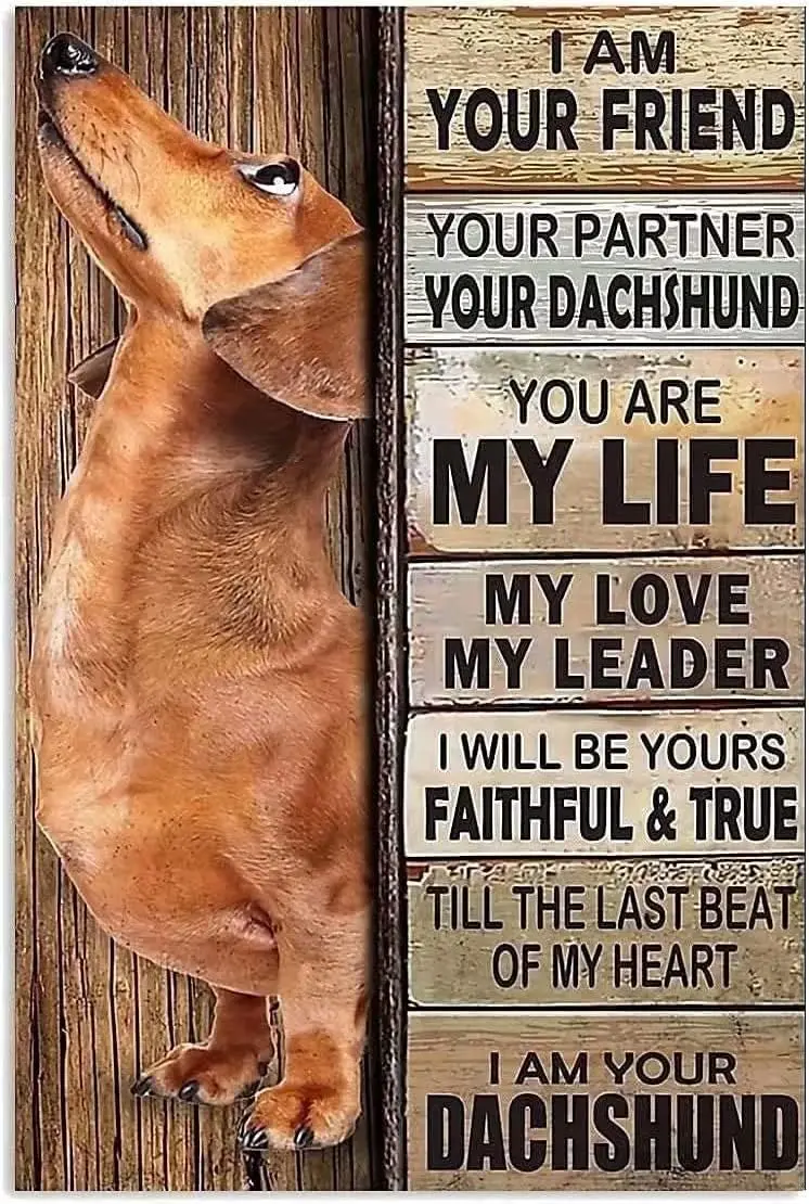Dachshund Metal Tin Sign I Am Your Friend You Dachshund Funny Retro Poster School Education Office Living Room Kitchen Bath sign
