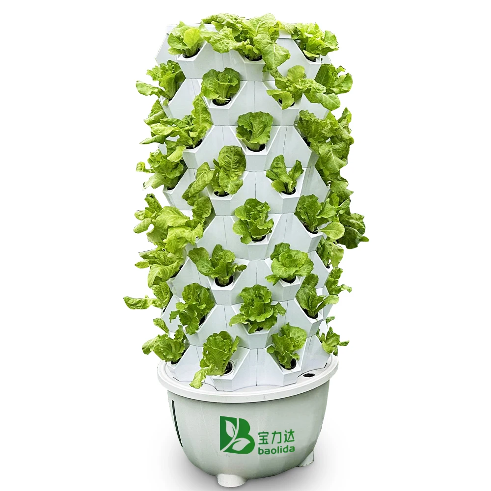 Baolida 6-Layer 48-Hole Eco-Friendly High Rigidity Vertical Hydroponic System with Pump for Vegetable Farming