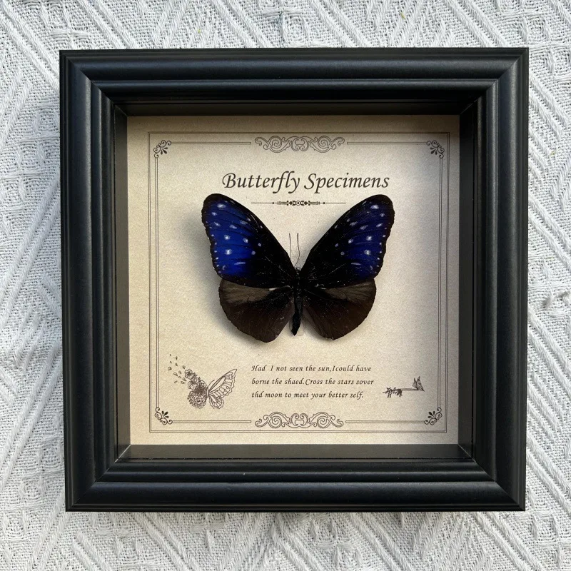 Butterfly in Frame, Creative decorations, Vintage Natural History Wall Art for Living Room, Study, Office