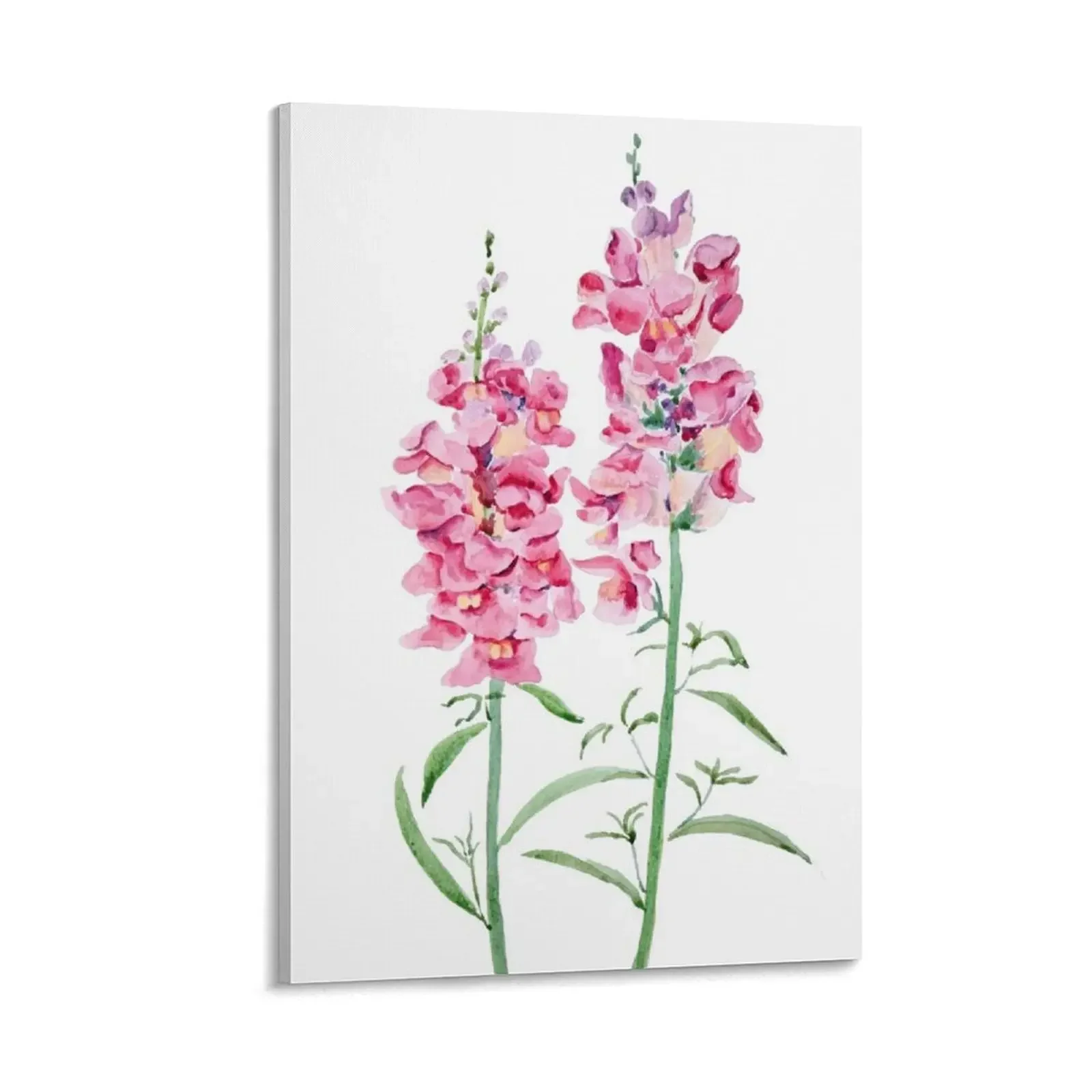 

2 pink snapdragon flowers watercolor painting Canvas Painting anime decoration art mural interior paintings