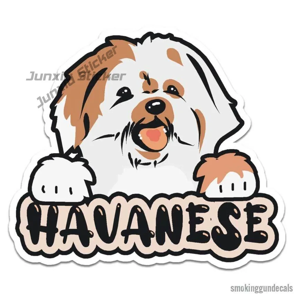 

Havanese Dog Puppy Vinyl Decal Sticker Indoor Anime Bumper Sticker Waterproof Vinyl Decal UV Resistant Decoration Accessories