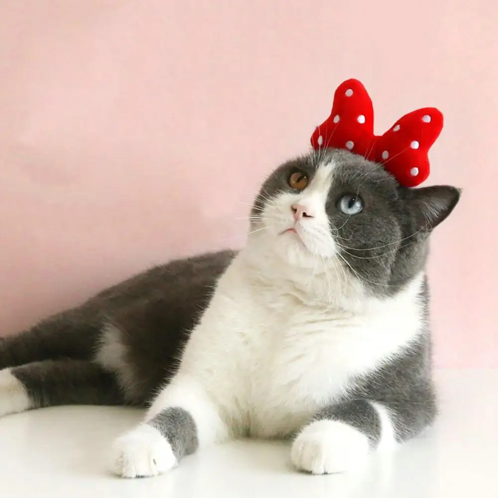 Pet Headband  Lovely Elastic Anti-deformed  Head Decoration Pet Hair Hoop Pet Gift