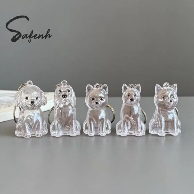Porte-clés de rangement de poils de chien, mignon, Transparent, fourrure d'animal de compagnie, Capsule, sac pendentif, décor, Collection Souvenir, cadeau, bijoux commémoratifs