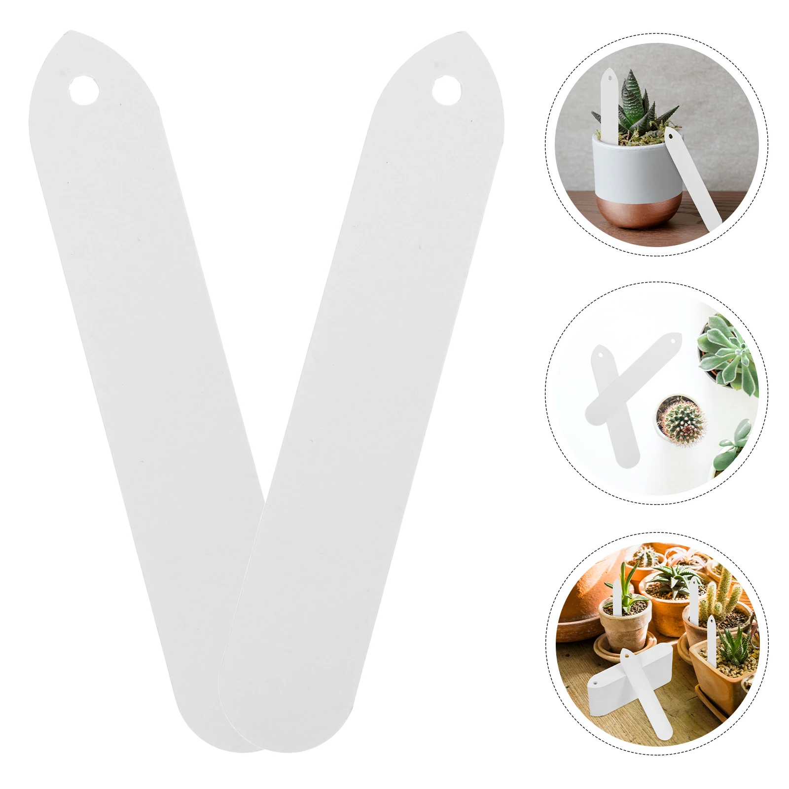 

100 Pcs Garden Plant Labels Stakes Markers Succulents Name Lable White Lawn Signs Waterproof Reusable Plastic Flower Herb