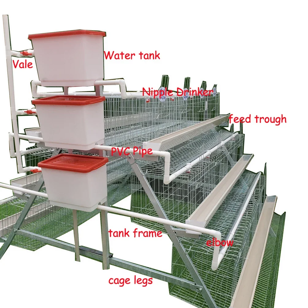 H Type Fully Automatic 5 Tiers Galvanized Layer Chicken Battery Cage For Africa Chicken Farm