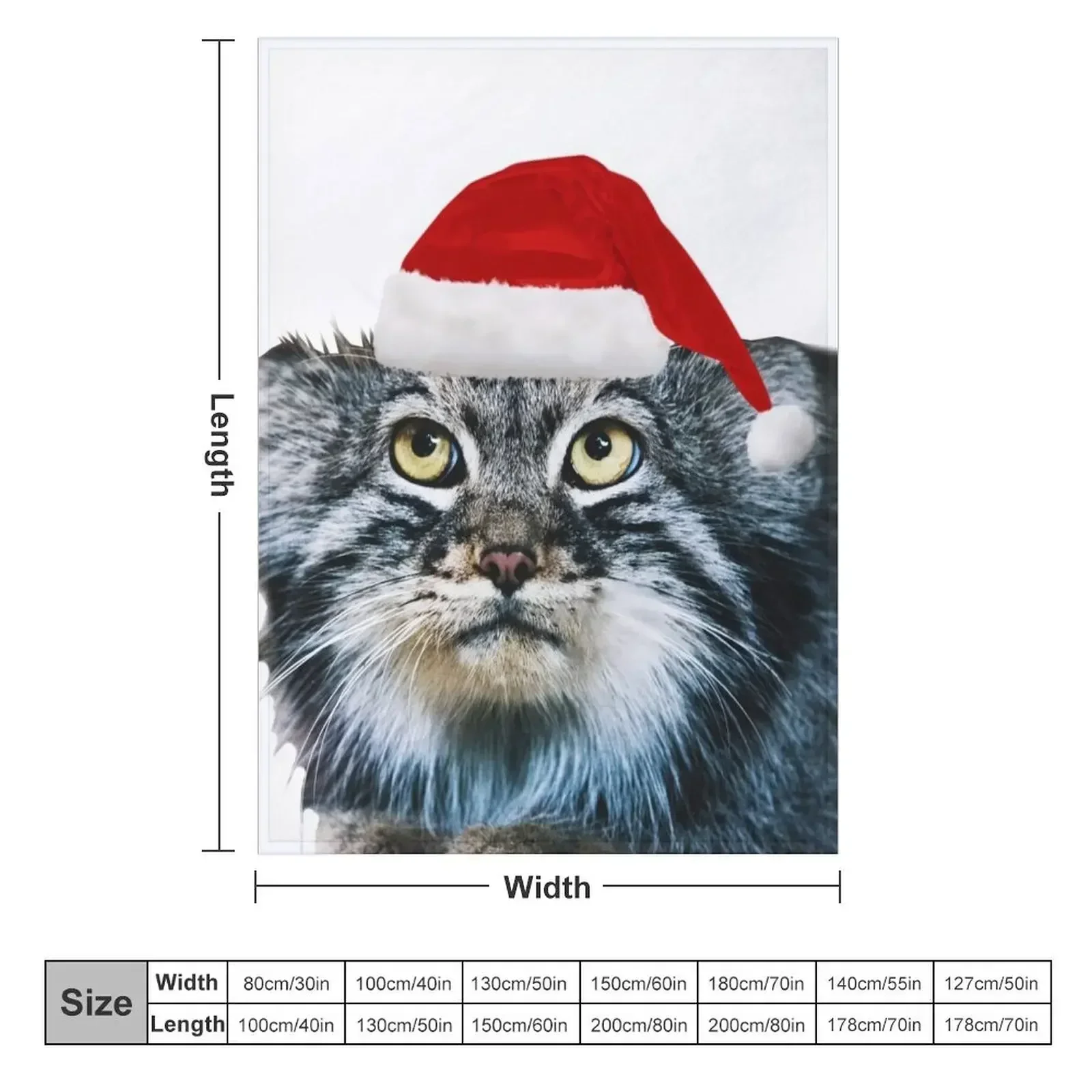 Christmas Pallass Cat Throw Blanket Cute Blankets Sofas Of Decoration Fashion Sofas Blankets