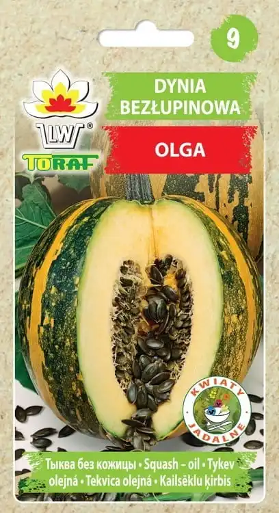 Pumpkin Olga seeds 3G TORAF vegetable pumpkin seeds