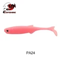 PA24