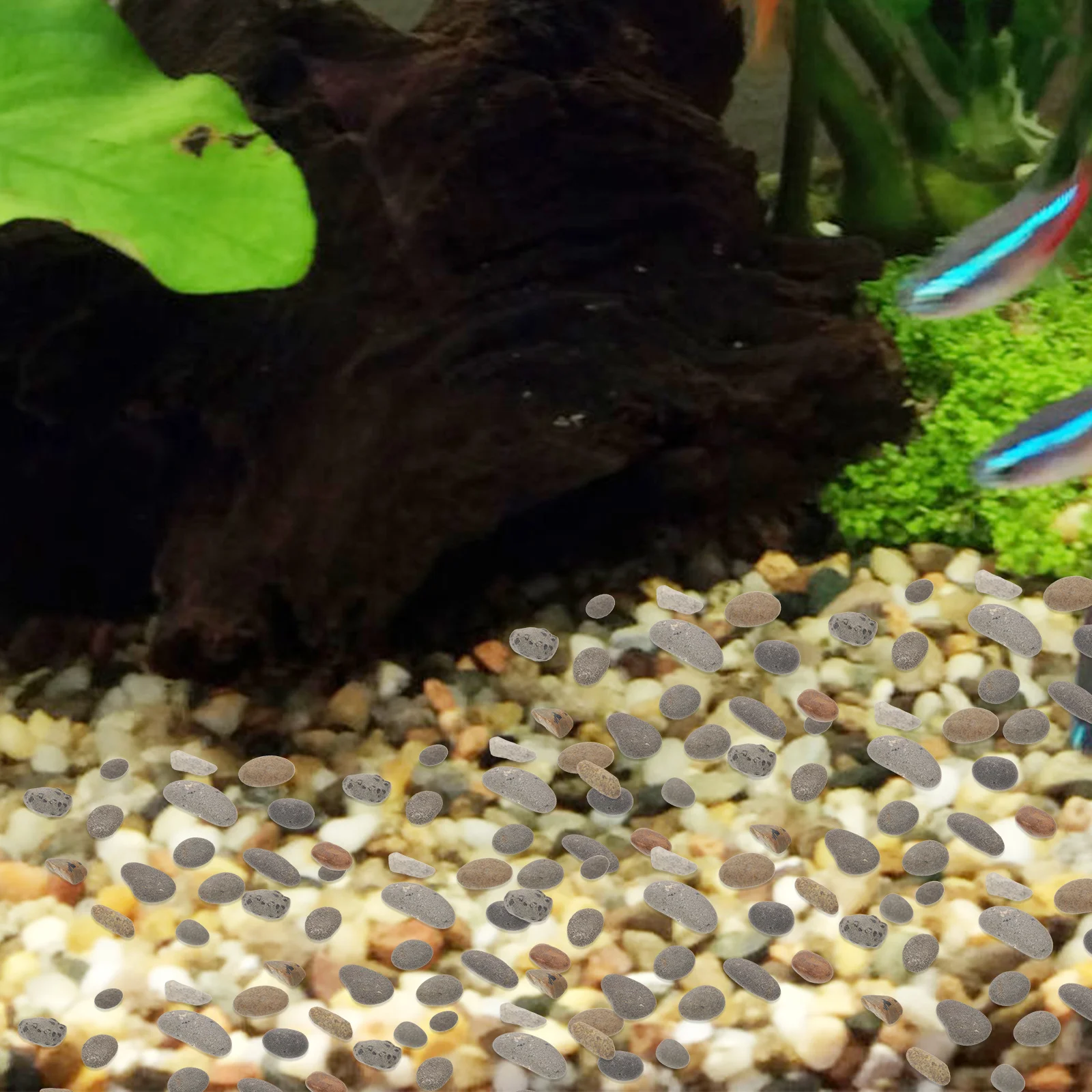 Microlandscape Natural Small Rocks Miniature Layout Sand Table Fish Tank Decoration Diorama Stone Material Kit