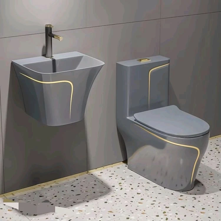 Modern Dual-Flush One-Piece Ceramic Siphonic Toilet Set Floor Mounted Bowl Black Colorful Bathroom Accessory for Home P-Trap