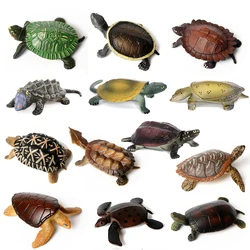 Realistische Plastic Zeeschildpad Levensechte Schildpadden Oceaan Dier Kleine Schildpad Beeldjes voor Party Favor Decoratie Educatief Speelgoed