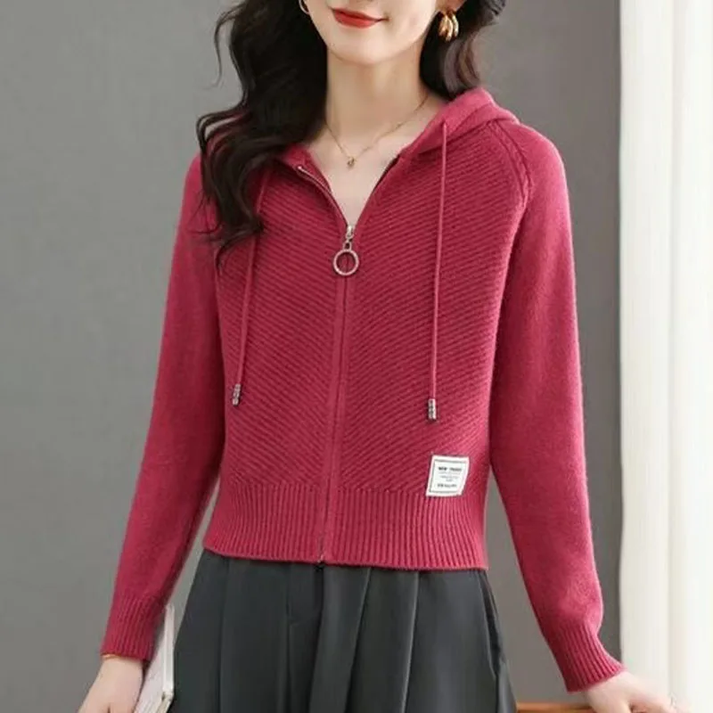 

Autumn And Winter New Sweater Coat Women Hooded Short Loose Top Fashion Padded Knit Cardigan