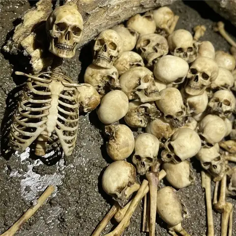 Décoration d'armoire pour animaux de compagnie, faux modules, modèle de lézard, décoration d'aquarium, maison d'aquarium, mini os, 1:12