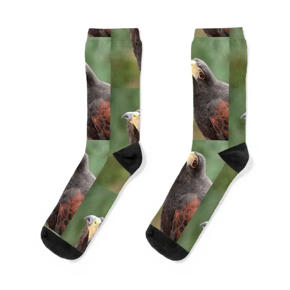 Hawk - Messenger Socks snow cartoon gift Heating sock Socks Women's Men's