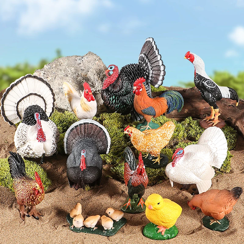 Simulation Farm Animals Poultry Turkey Rooster Hen Figurines Model Action Figures Educational Toy For Kids