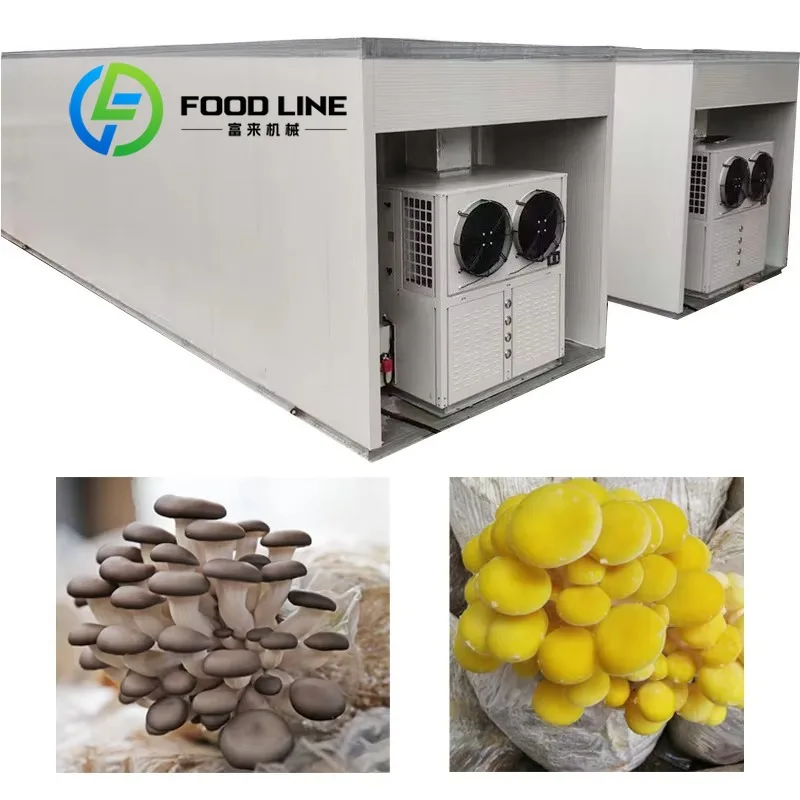 Large Intelligent Climate-Controlled Mushroom Container Easy Installation Low Cost Plastic Film Single Agricultural Greenhouse