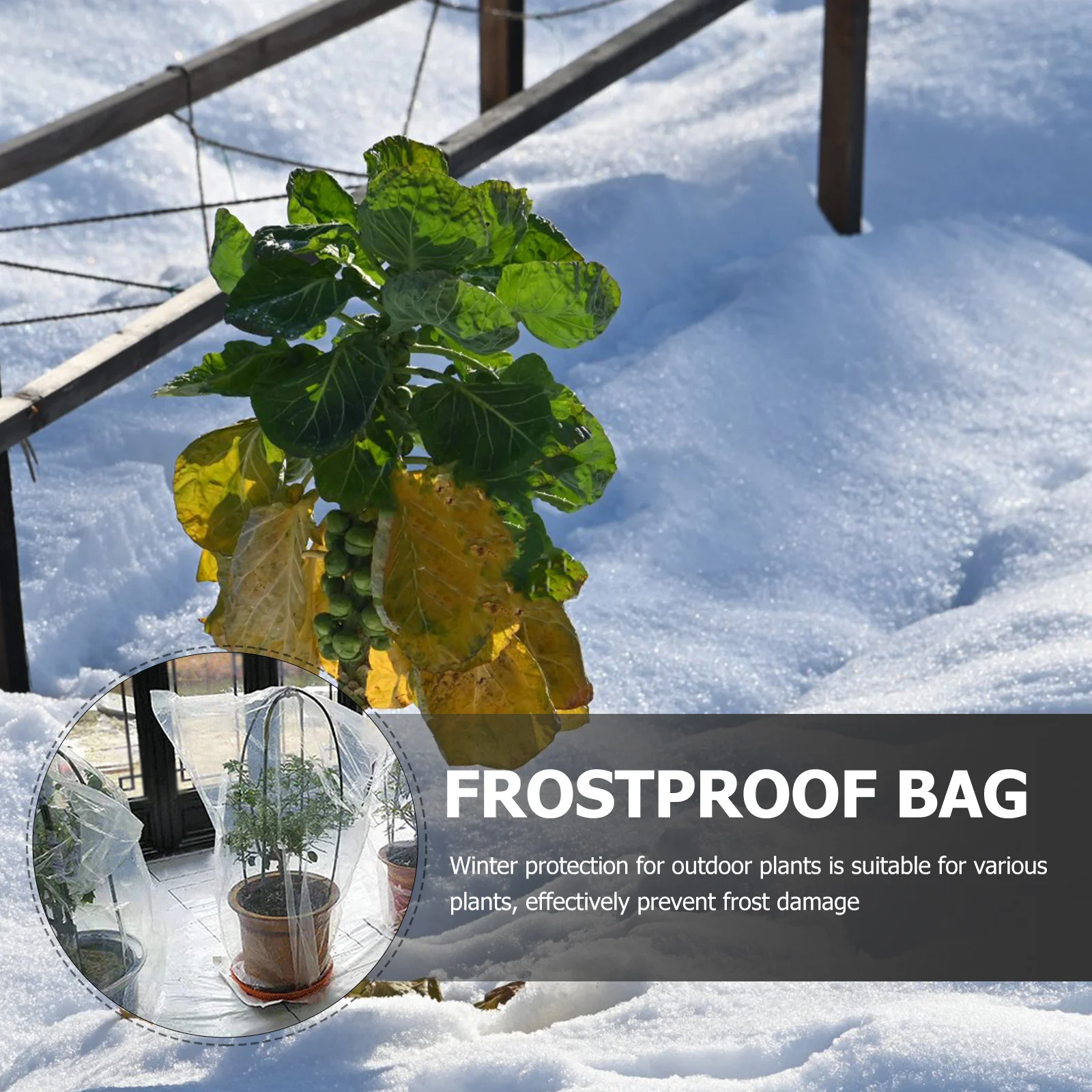

Soft Breathable Winter Plant Cover Frost Protection Outdoor Garden Tree Shrub Protector from Snow Storms and Frost