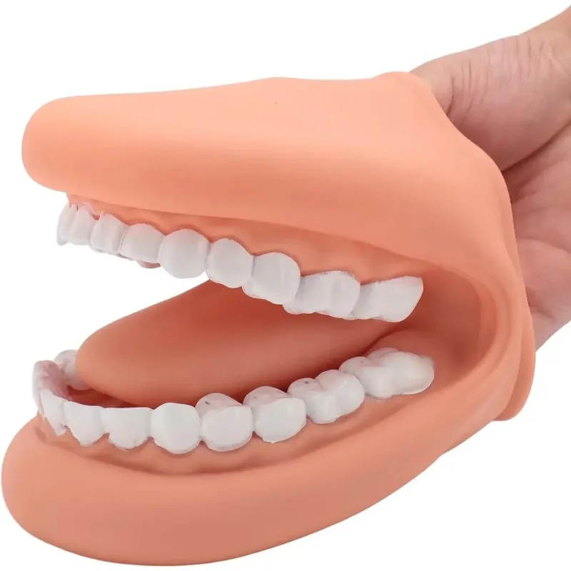 fantoche-de-mao-de-boca-dentaria-com-lingua-de-silicone-28-dentes-modelo-brinquedos-simulador-de-boca-para-terapia-de-fala-aprendizagem-de-dentista