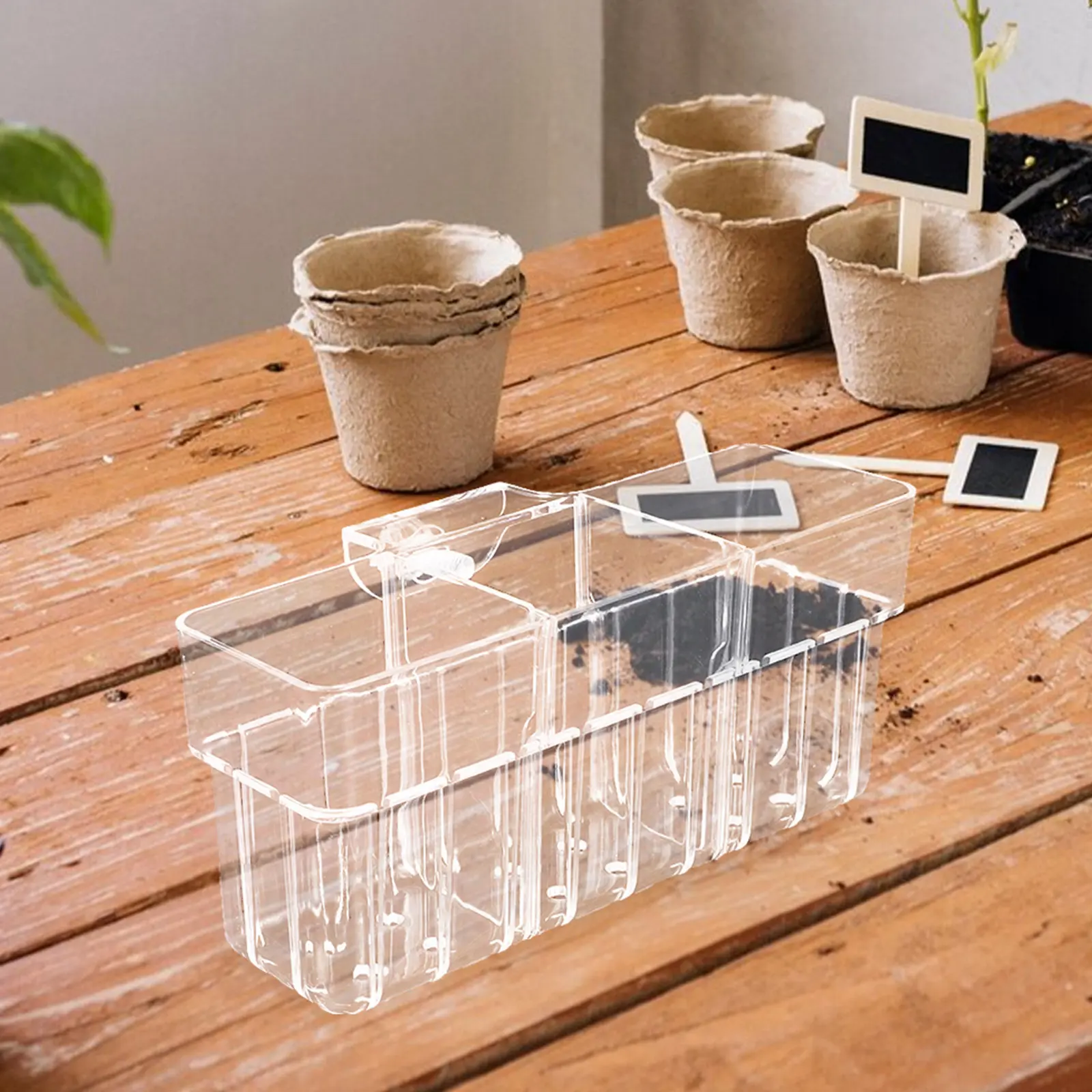 Clear Hydroponic Plant Basket 3 Compartment Wall Mounted Aquarium Plant Holder Fish Tank Aquatic Planter Cup
