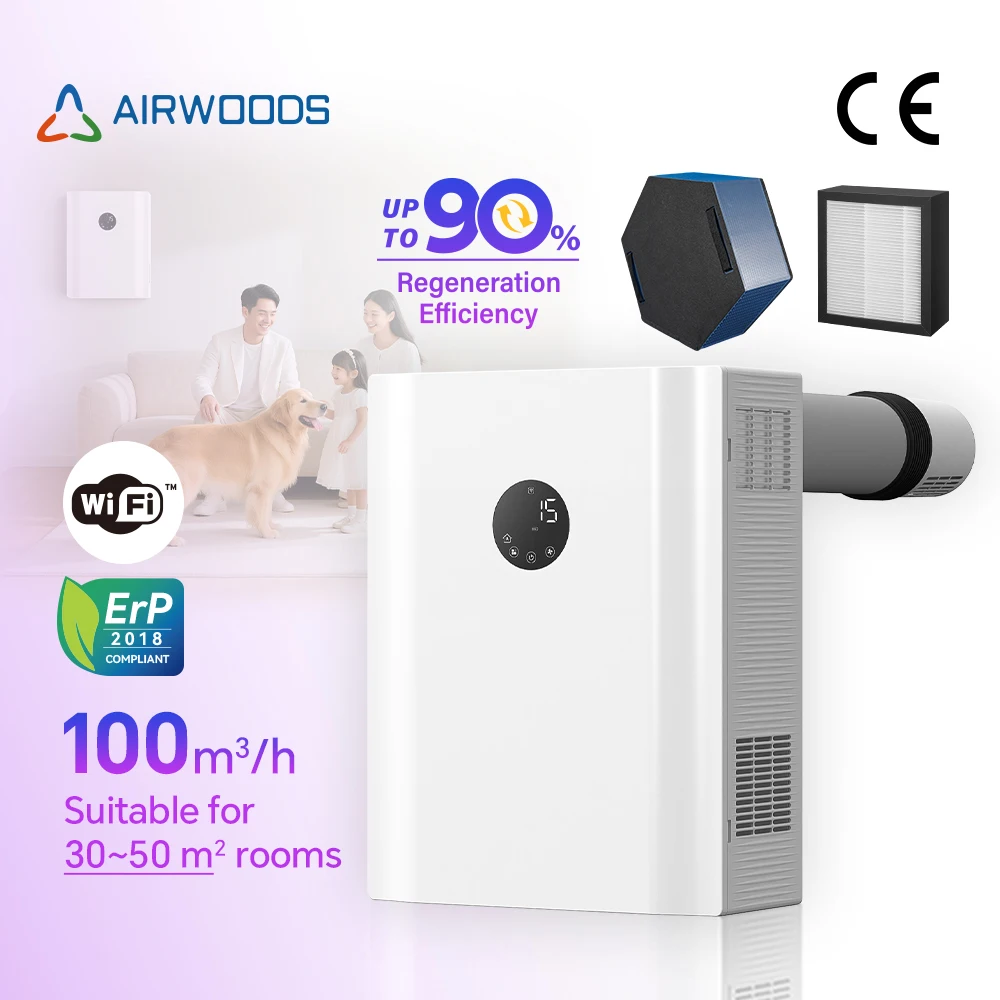 

Residential Erv Coarse And F7 Filter Combination High-Efficiency Air Purifier Hvac System For Homeowners