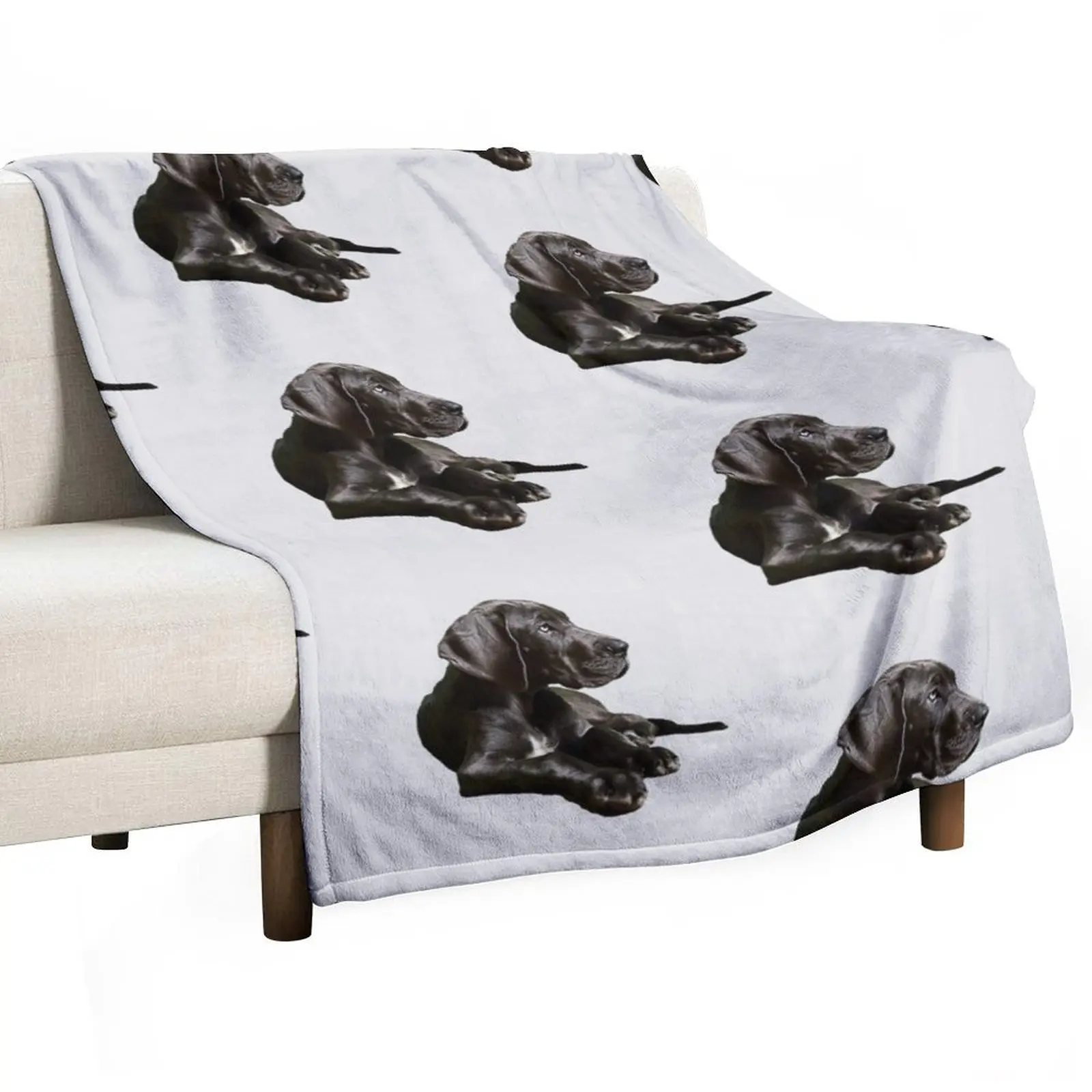 بلاك جريت داني - جمال رائع! رمي بطانية سرير مزخرفة، بطانيات مصممي الأريكة المزخرفة والبطانيات #3