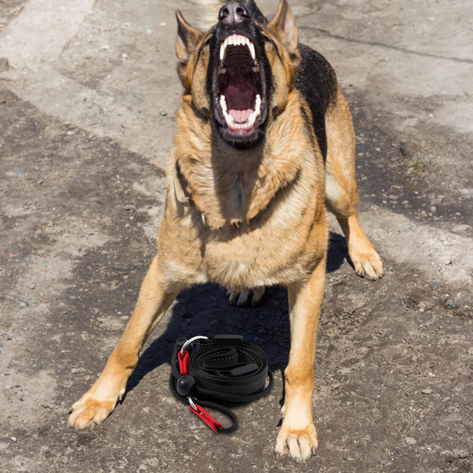 

1 Pcs Anti Slip Dog Leash For Training Control Rope No Pull Dog Leash Slip Lead Leash For All Dog Breeds