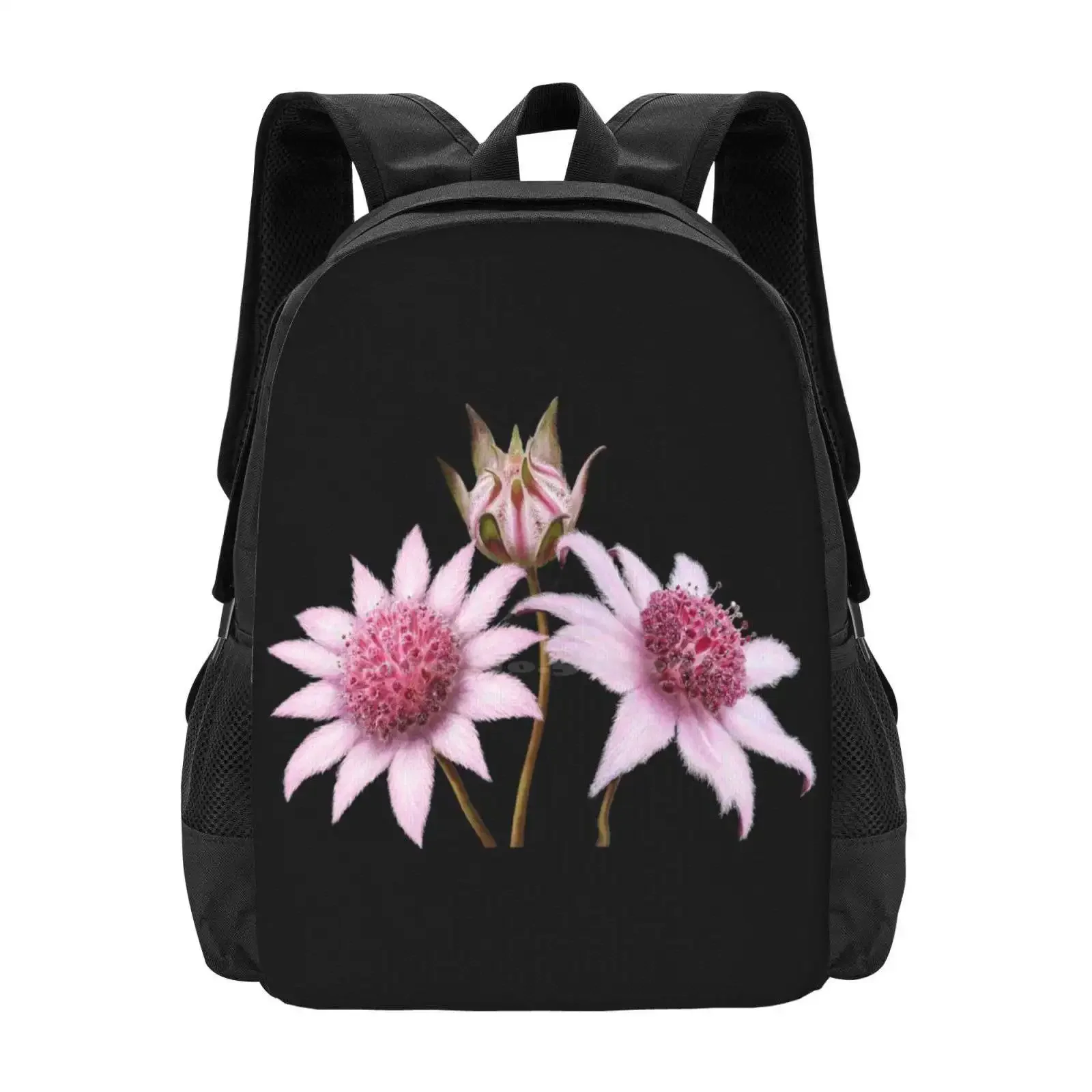 

Jaunty Pink Flannel Flowers Hot Sale Schoolbag Backpack Fashion Bags Pink Flannel Flowers Blossom Kestrelle Bloom Actinotus