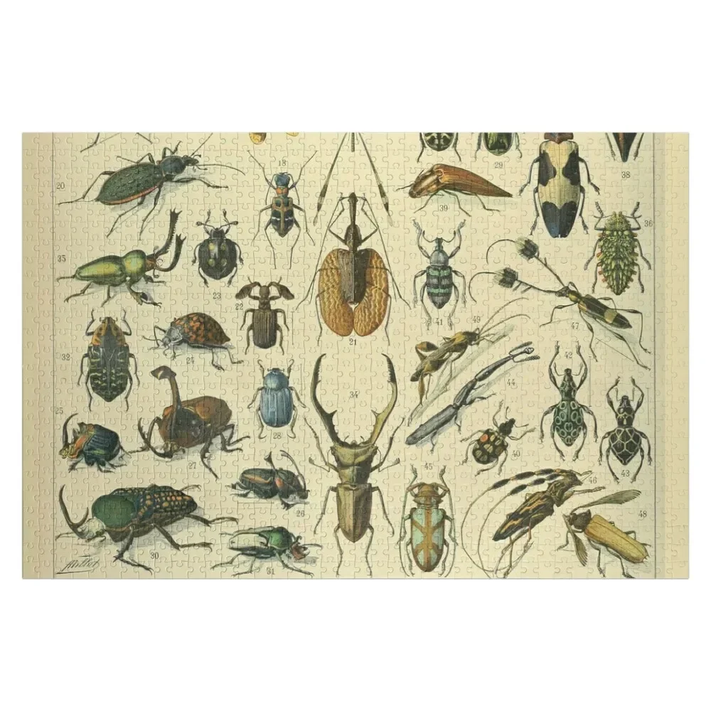 

Adolphe Millot Insectes A Jigsaw Puzzle Wood Adults Customized Photo Puzzle