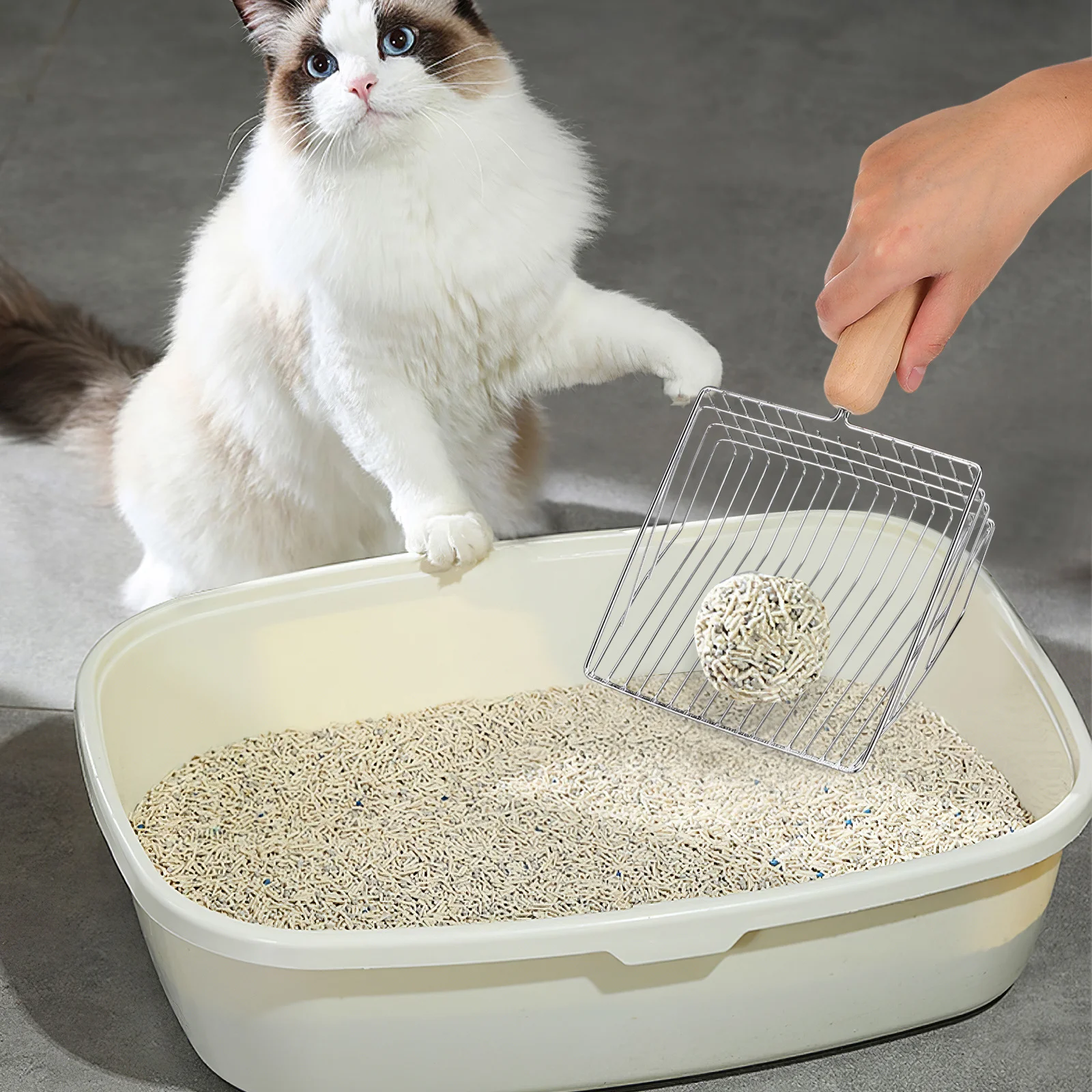 

1 set Cat Scoop Set Large Metal Litter Sifter Deep Clean Tool Kitten Pet Supplies Reusable Scooper Holder Included