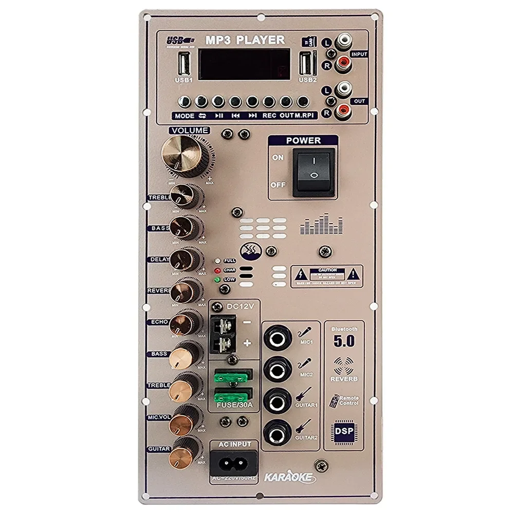 Placa Amplificadora Digital Bluetooth com Microfone, Painel de Altifalantes de Entrada Guitarra, Áudio Doméstico, 12V, 110V-220V, 500W, 8-18