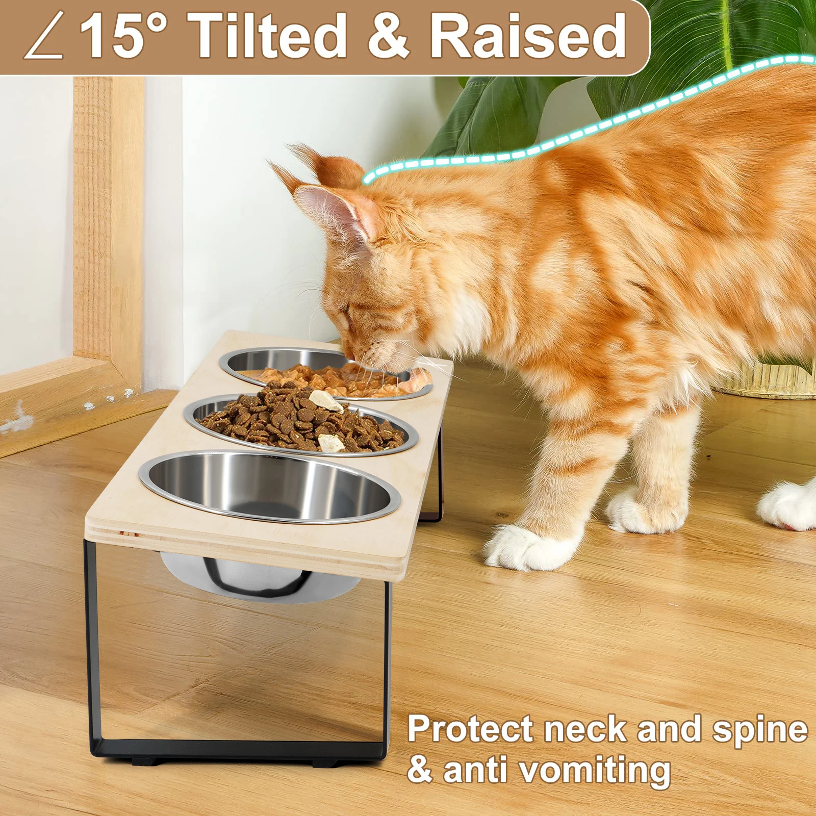 

Woden Cat Bowl Elevated Dog Bowl Pet Feeding Container 15-Degree Tilt Raised Anti-Slip with Stainless Steel Bowls Puppy Feeder