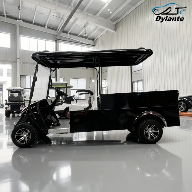 العلامة التجارية الجديدة المتقدمة أفضل سيارة كهربائية للبيع عربة جولف كهربائية للكبار عربة بضائع قابلة للطي مع صندوق البضائع الخلفي التسليم السريع